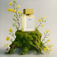 ⁦Tilisa⁩ - الصورة ⁦2⁩